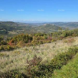 GRAĐEVINSKO ZEMLJIŠTE S PANORAMSKIM POGLEDOM NA MOTOVUN – 3.059 m²