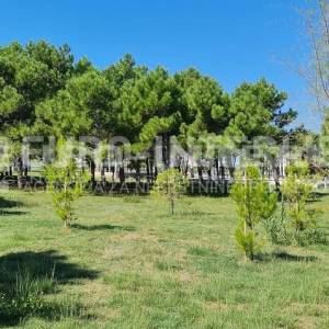 Građevinsko zemljište Sabunike, neposredno uz more pov. 1.091 m²