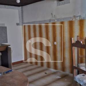 Imanje sa 3 kuće, okolica Žminja