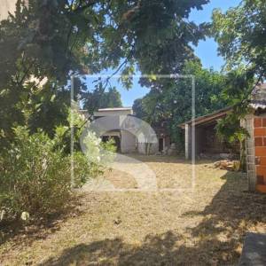 Imanje sa 3 kuće, okolica Žminja
