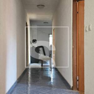 Imanje sa 3 kuće, okolica Žminja