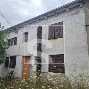 Imanje sa 3 kuće, okolica Žminja