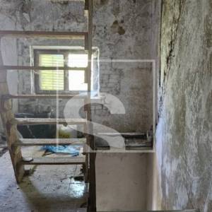 Imanje sa 3 kuće, okolica Žminja