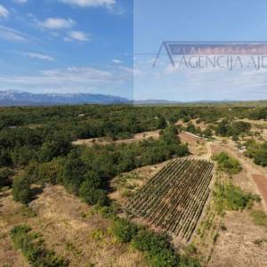 Imotski kamena kuća 136 m2 - Vinjani Gornji 