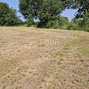  Istra, Baderna, poljoprivredo zemljište, 4.122m2