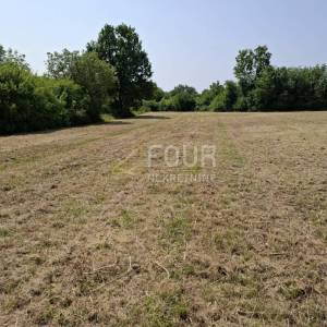  Istra, Baderna, poljoprivredo zemljište, 4.122m2