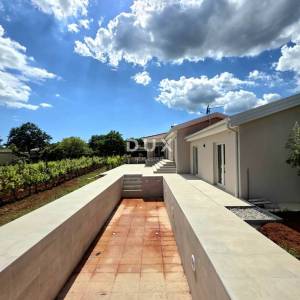 Istra, Barban, Novoizgrađena obiteljska prizemna vila, okružena vinogradom