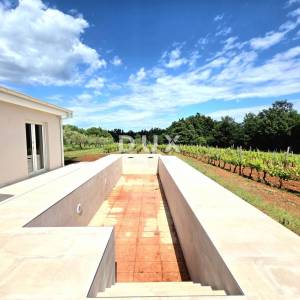 Istra, Barban, Novoizgrađena obiteljska prizemna vila, okružena vinogradom