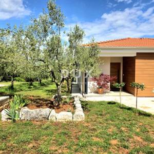 Istra, Barban, Novoizgrađena obiteljska prizemna vila, okružena vinogradom