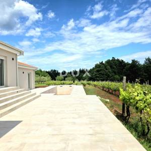 Istra, Barban, Novoizgrađena obiteljska prizemna vila, okružena vinogradom