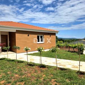 Istra, Barban, Novoizgrađena obiteljska prizemna vila, okružena vinogradom