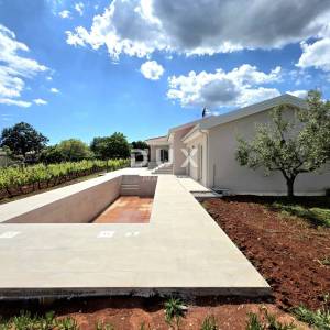 Istra, Barban, Novoizgrađena obiteljska prizemna vila, okružena vinogradom