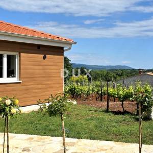 Istra, Barban, Novoizgrađena obiteljska prizemna vila, okružena vinogradom