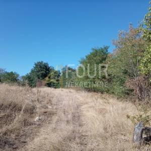 Istra, Brtonigla, zemljište 5.027m2
