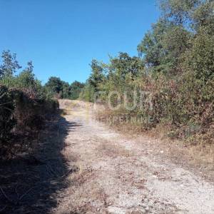 Istra, Brtonigla, zemljište 5.027m2