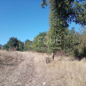 Istra, Brtonigla, zemljište 5.027m2