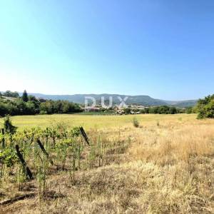 Istra, Buzet, Kamena istarska stancija s više od 26.000m2 zemljišta
