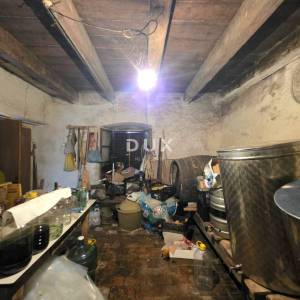 Istra, Buzet, Kamena istarska stancija s više od 26.000m2 zemljišta