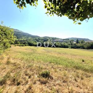 Istra, Buzet, Kamena istarska stancija s više od 26.000m2 zemljišta