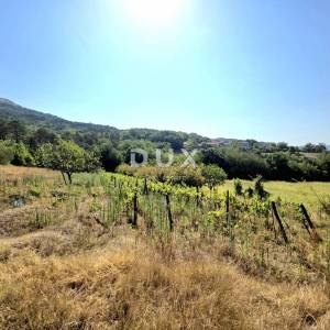 Istra, Buzet, Kamena istarska stancija s više od 26.000m2 zemljišta