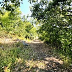 Istra, Buzet, Kamena istarska stancija s više od 26.000m2 zemljišta