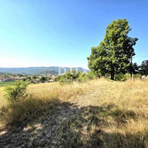 Istra, Buzet, Kamena istarska stancija s više od 26.000m2 zemljišta