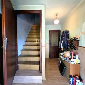 Istra, Buzet, Kamena istarska stancija s više od 26.000m2 zemljišta