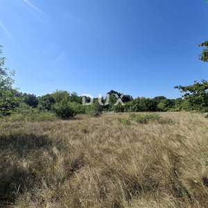 Istra, Juršići, poljoprivredno zemljište, 5021 m2
