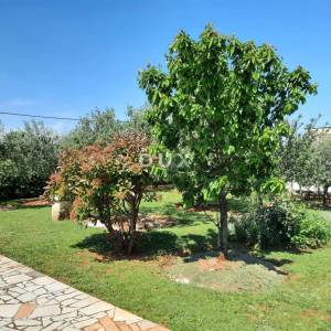 Istra, Kavran, kuća, 155 m2, 2 stambene jedinice, 1243 m2 dvorište