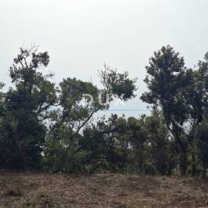Istra, Kavran, zemljište, 500 m2, 50 m od mora