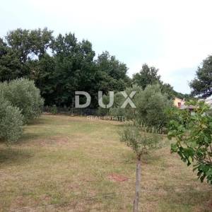 Istra, Loborika, prizemnica, kuća, 50 m2, dvorište