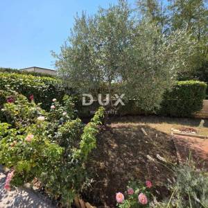 Istra, Novigrad, 91,80 m2S, bazen, terasa