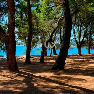 Istra, Poreč, građevinsko zemljište, 958 m², rijetkost na tržištu