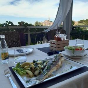 Istra, Rovinj, restoran, 330 m2, pogled na more i grad