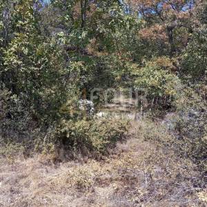 Istra, Svetvinčenat, Juršići, poljoprivredno zemljište, 6.950m2