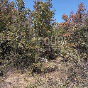 Istra, Svetvinčenat, Juršići, poljoprivredno zemljište, 6.950m2