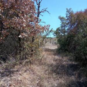 Istra, Svetvinčenat, Juršići, poljoprivredno zemljište, 6.950m2