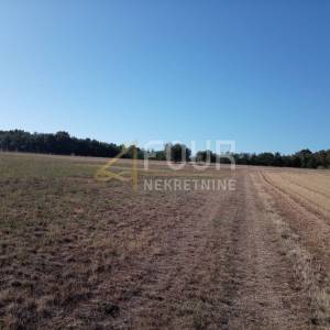 Istra, Umag - okolica, poljoprivredno zemljište, 12.535m2