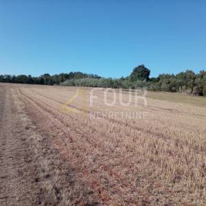 Istra, Umag - okolica, poljoprivredno zemljište, 12.535m2