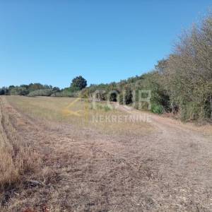 Istra, Umag - okolica, poljoprivredno zemljište, 12.535m2