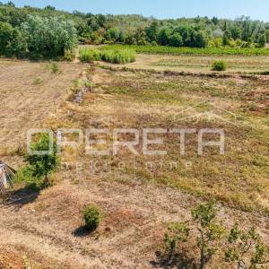 Istra, Višnjan okolica- Građevinsko zemljište