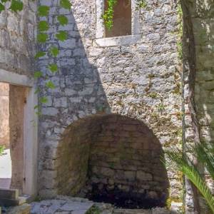 Kapari u Jelsi