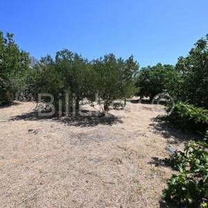 Kaštel Gomilica, građevinsko 1009m2, prodaja