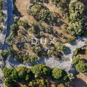 Krk, Kornić, maslinik, 1192 m2, pristup s ceste