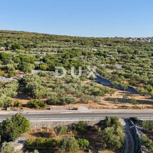 Krk, Kornić, maslinik, 1192 m2, pristup s ceste