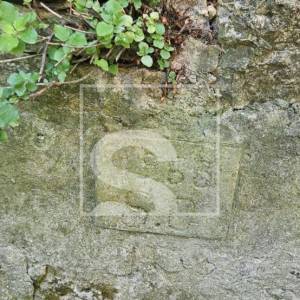Kuća sa dvorištem Bale, 3 spavaće sobe
