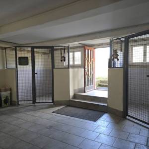 Kuća za uređenje, 370m2, zemljište  2000m2