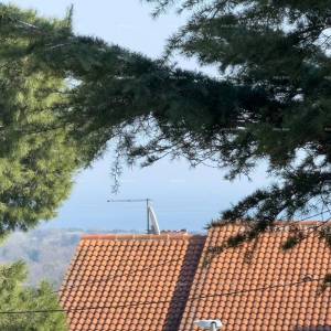 Ližnjan, uređena I kompletno namještena kuća sa garažom i konobom