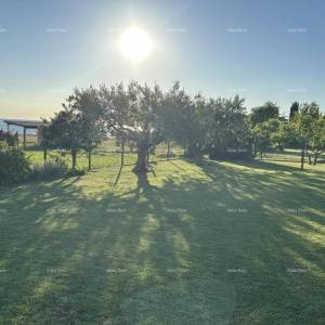 Lovrečica – građevinsko zemljište 591 m², samo 60 m od mora