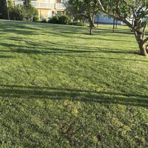 Lovrečica – građevinsko zemljište 591 m², samo 60 m od mora